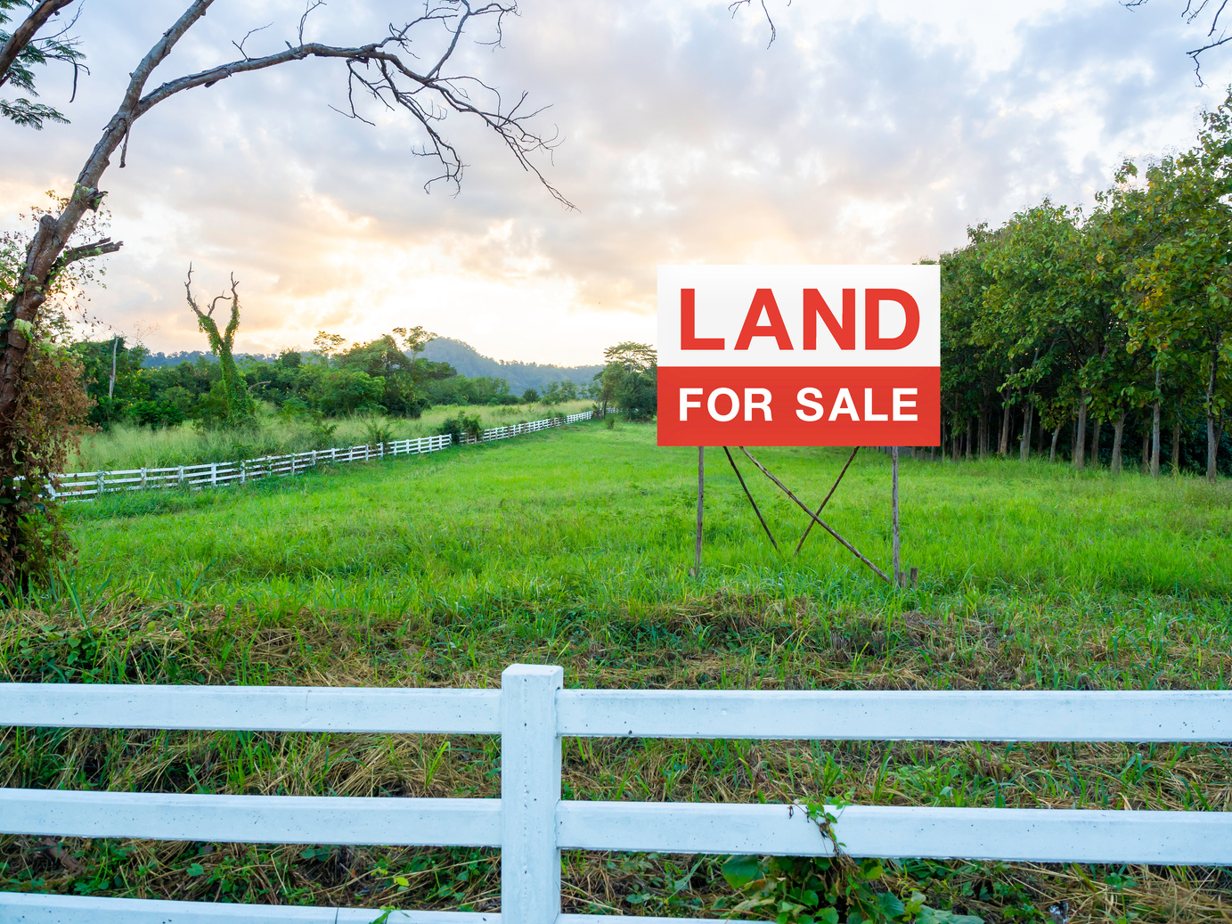 Land for sale sign on empty land.